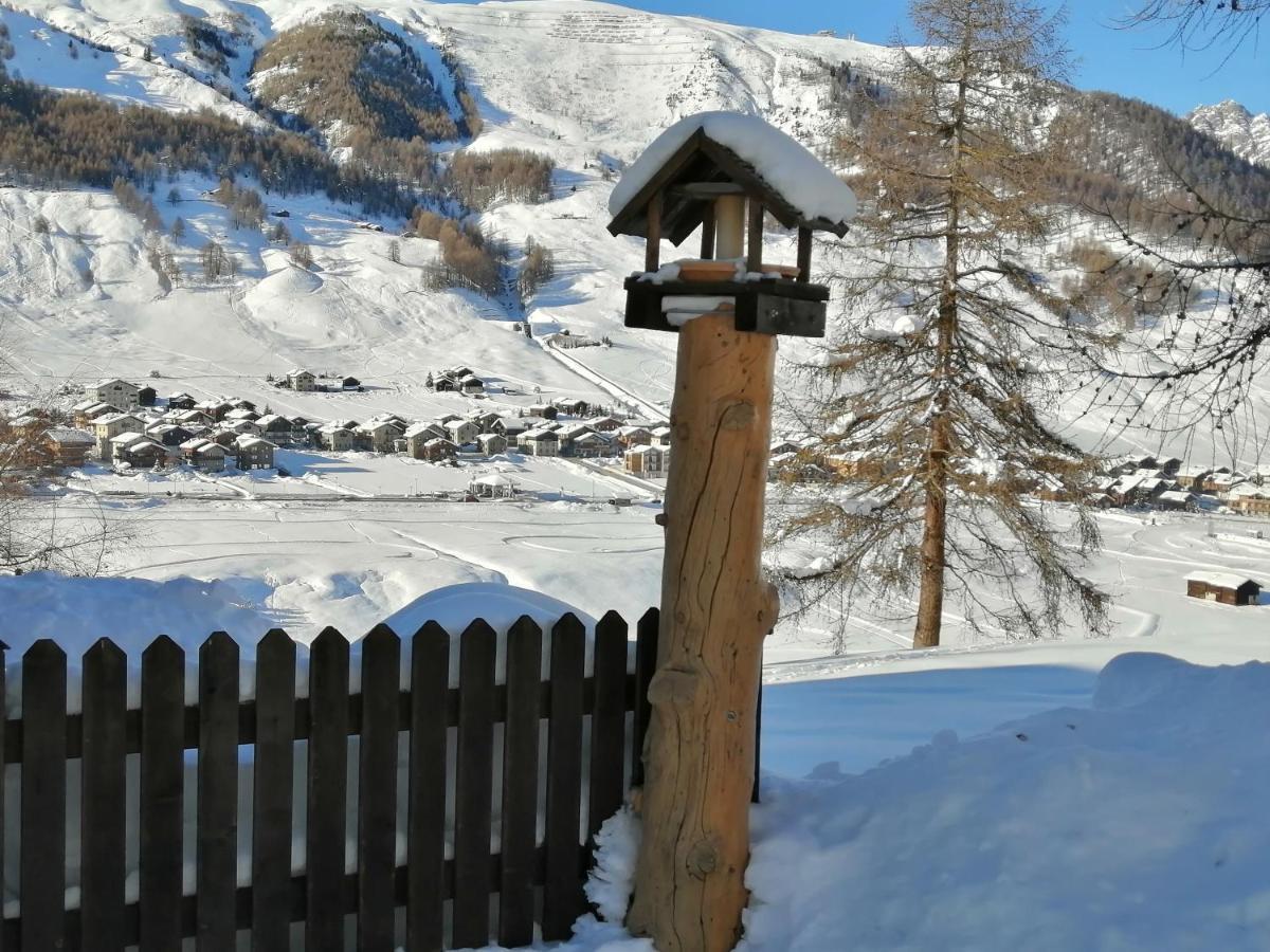 Freita Casa vacanze Livigno
